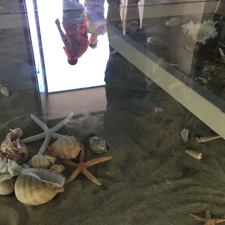 Casa vacanze Ortigia Vista Mare